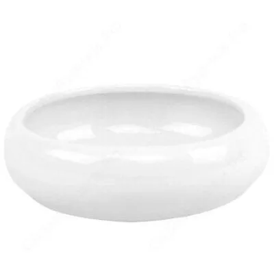 картинка Кактусник керамический Круглый, белый, 15смх4,5см; Россия от магазина Флоранж