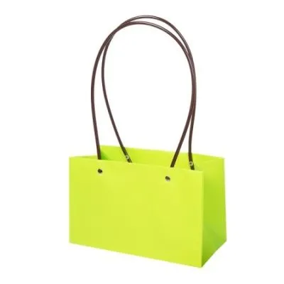 Сумка Мастхэв прямоугольная, салатовая, 22х10х13см