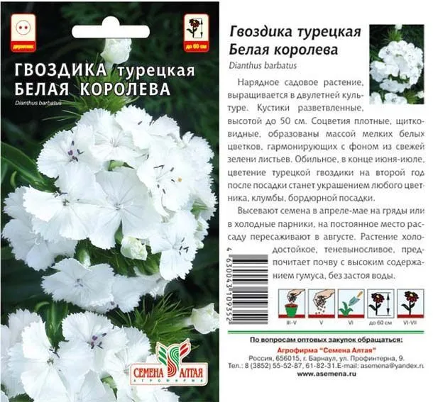 Гвоздика турецкая Белая Королева (цветной пакет) 0,1г; Семена Алтая