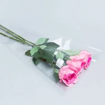 Пакет конус пленка, 30х60см; Россия