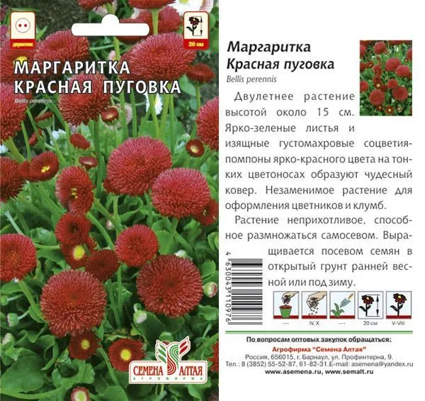 Маргаритка Красная пуговка (цветной пакет) 0,02г; Семена Алтая