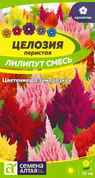 Целозия перистая Лилипут смесь (цветной пакет) 0,3г; Семена Алтая