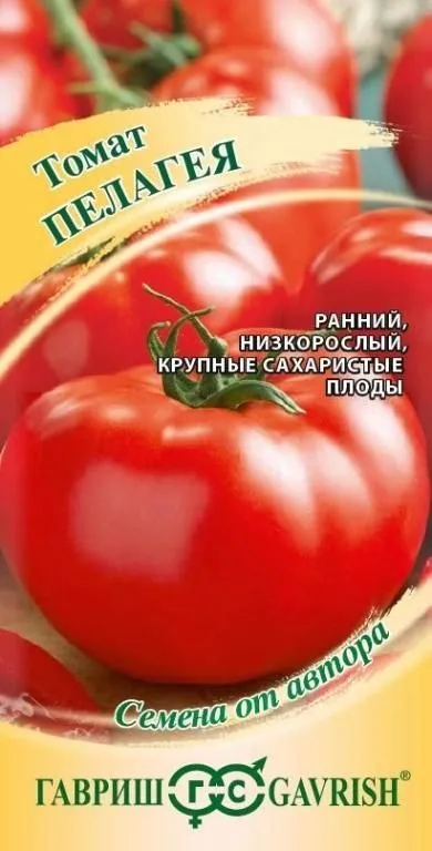 Томат Пелагея (цветной пакет) 0,05г; Гавриш