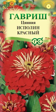 Цинния Исполин красный (цветной пакет) 0,3г; Гавриш
