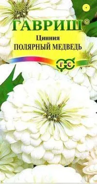 Цинния Полярный медведь изящная (цветной пакет) 0,3г; Гавриш