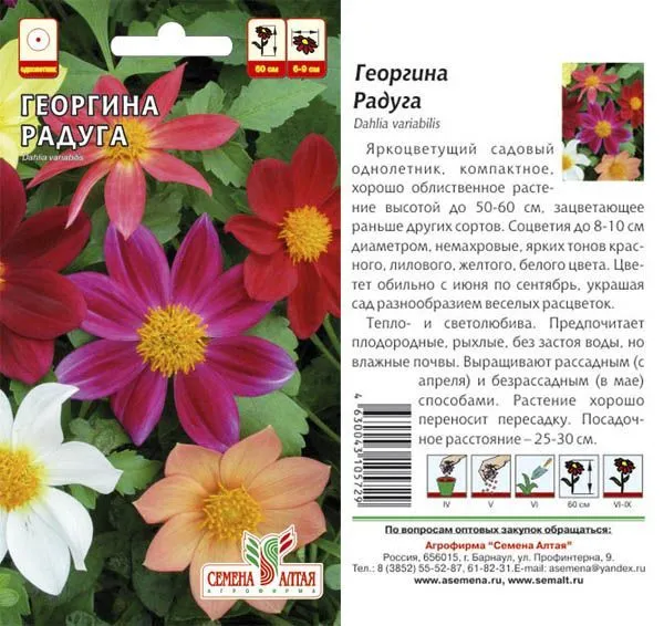 Георгина Радуга (цветной пакет) 0,2г; Семена Алтая