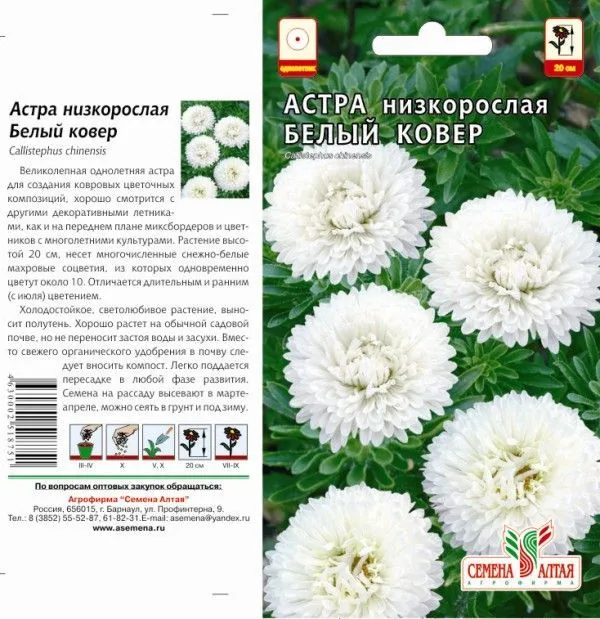 Астра Белый Ковер (цветной пакет) 0,1г; Семена Алтая
