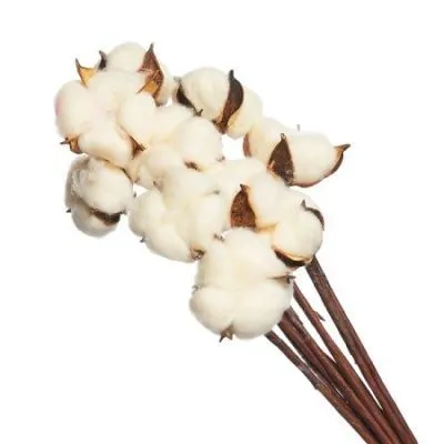 Набор хлопка на вставке 30-40см, 10шт в уп, кремовый