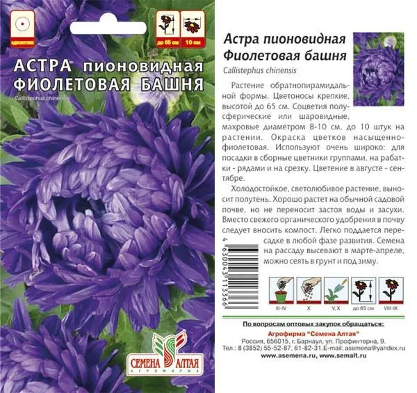 Астра Фиолетовая Башня (цветной пакет) 0,2г; Семена Алтая