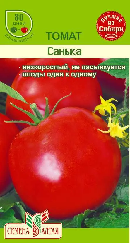 Томат Санька (цветной пакет) 0,1г; Семена Алтая