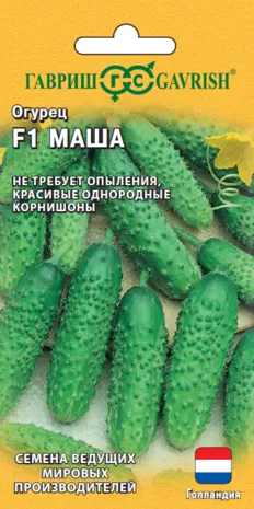 Огурец Маша F1 (цветной пакет) 5шт; Гавриш