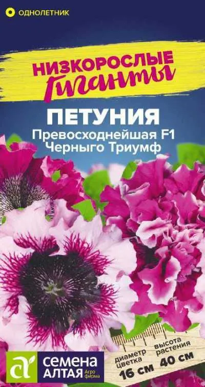 Петуния Превосходнейшая Черный Триумф Низкорослые гиганты (цветной пакет) 7шт; Семена Алтая