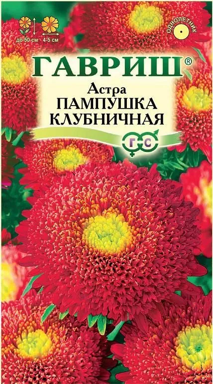 Астра Пампушка клубничная (цветной пакет) 0,3г; Гавриш
