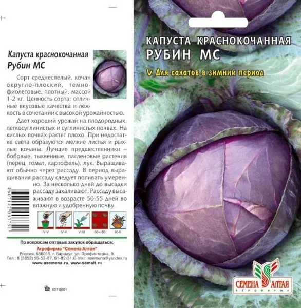Капуста краснокочанная Рубин МС (цветной пакет) 0,3г; Семена Алтая