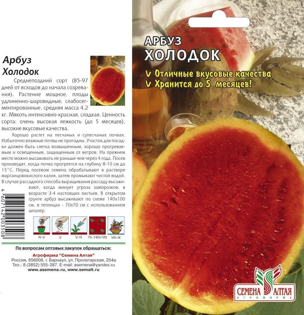 Арбуз Холодок (цветной пакет) 1г; Семена Алтая