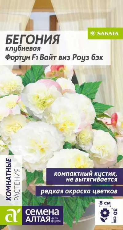 Бегония клубневая Фортуна F1 Вайт виз Роуз Бэк (цветной пакет) 4шт; Семена Алтая