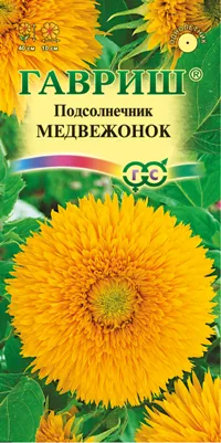 Подсолнечник Медвежонок (цветной пакет) 0,5г; Гавриш