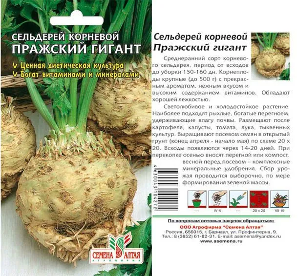 Сельдерей корневой Пражский Гигант (цветной пакет) 0,5г; Семена Алтая