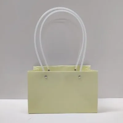 Сумка Мастхэв прмоугольна, слоновая кость, 22x10x40см; Китай