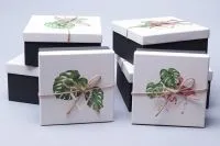 Коробка квадрат Монстера 73629 (2-й из набора) 17,5х17,5х8см; Китай