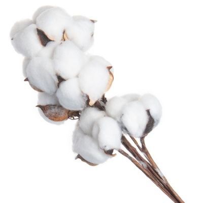 Набор хлопка на вставке 30-40см, 10шт в уп, белый