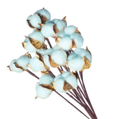 Набор хлопка на вставке 30-40см, 10шт в уп, голубой