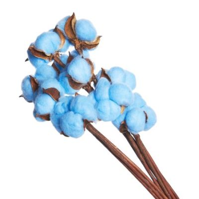 Набор хлопка на вставке 30-40см, 10шт в уп, ярко-голубой