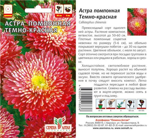 картинка Астра Помпонная Темно-красная (цветной пакет) 0,2г; Семена Алтая от магазина Флоранж