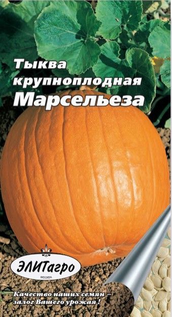 картинка Тыква Марсельеза (цветной пакет) 1г; Аэлита от магазина Флоранж