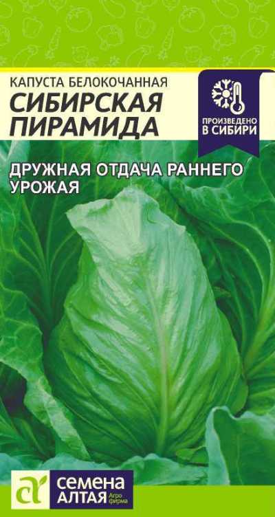 картинка Капуста белокочанная Сибирская Пирамида (цветной пакет) 0,5г; Семена Алтая от магазина Флоранж