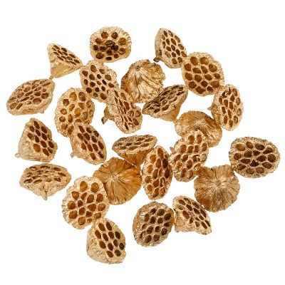 Сухоцветы Лотос, Н8-10 см, набор (25 шт), золотой