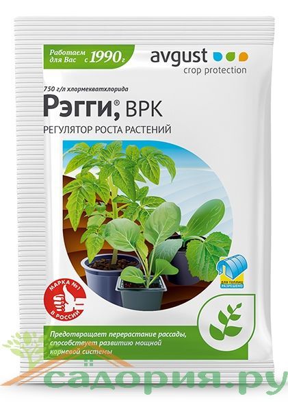 картинка Средство защиты регулятор роста растений Рэгги (ампула), 1мл от магазина Флоранж