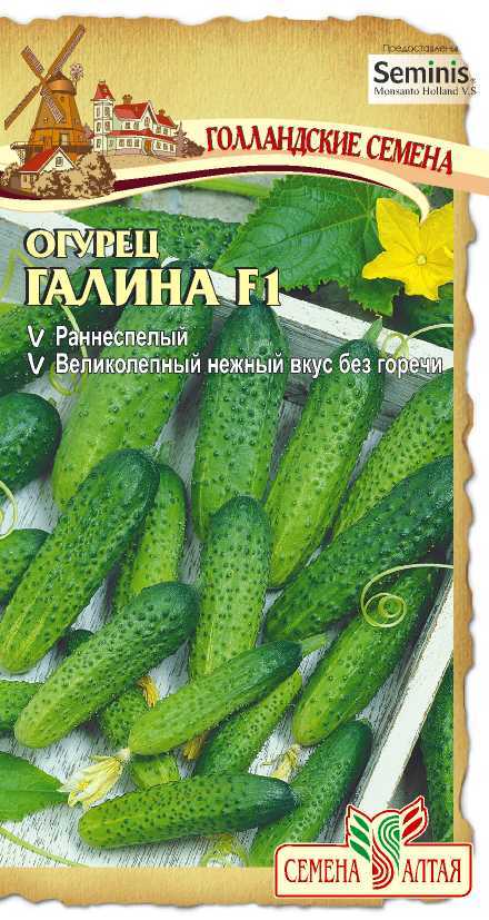 Огурец Галина F1 (цветной пакет) 5шт; Семена Алтая