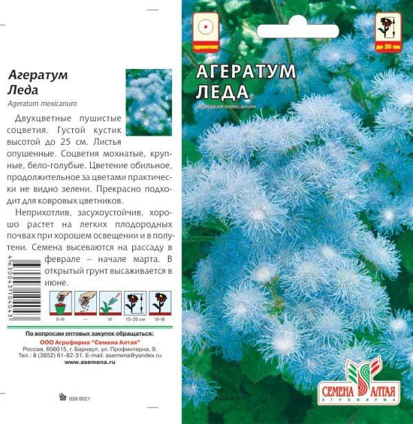 Агератум Леда (цветной пакет) 0,1г; Семена Алтая