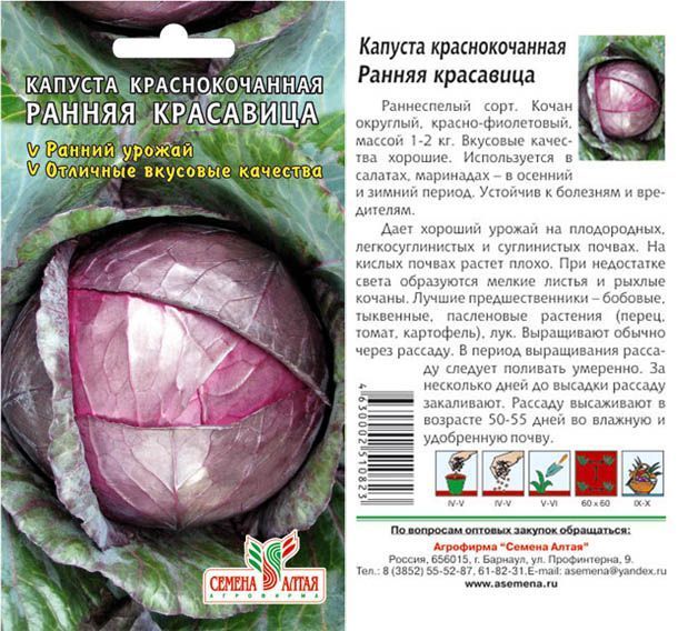 Капуста краснокочанная Ранняя Красавица (цветной пакет) 0,3г; Семена Алтая