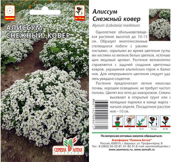 Алиссум Снежный Ковер (цветной пакет) 0,1г; Семена Алтая