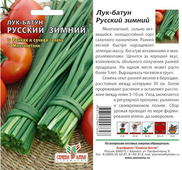 картинка Лук батун Русский Зимний (цветной пакет) 1г; Семена Алтая от магазина Флоранж