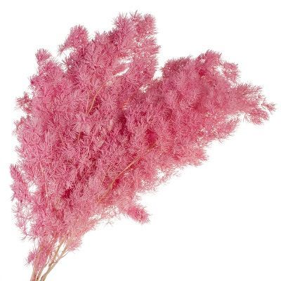 Набор сухоцветов, Н55см, розовый