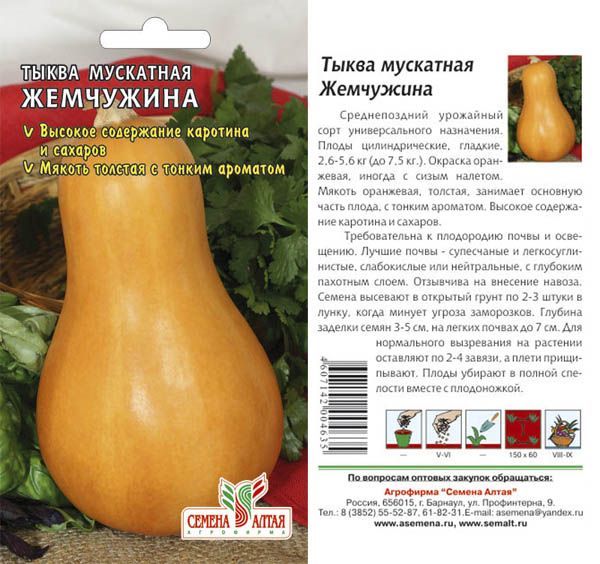 Тыква Жемчужина Мускатная (цветной пакет) 1г; Семена Алтая