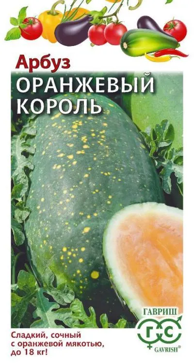 Арбуз Оранжевый Король (цветной пакет) 5шт; Гавриш