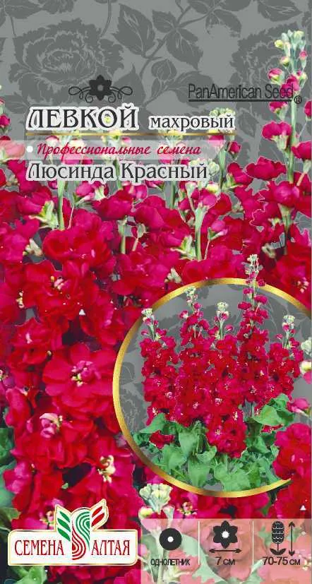 Астра Седая Дама карликовая красная (цветной пакет) 0,1г; Семена Алтая