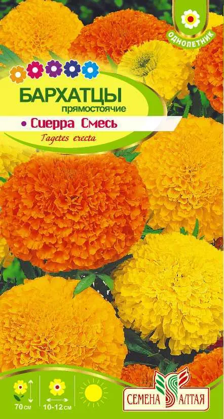 Бархатцы Сиерра Смесь (цветной пакет) 0,3г; Семена Алтая