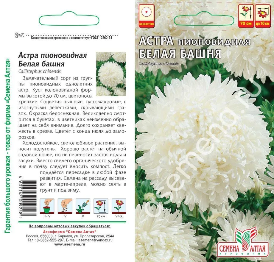 Астра Белая Башня (цветной пакет) 0,2г; Семена Алтая