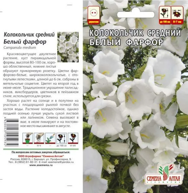 Колокольчик средний Белый Фарфор (цветной пакет) 0,1г; Семена Алтая