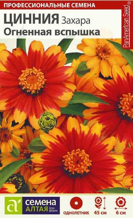 Цинния Захара Огненная вспышка (цветной пакет) 6шт; Семена Алтая