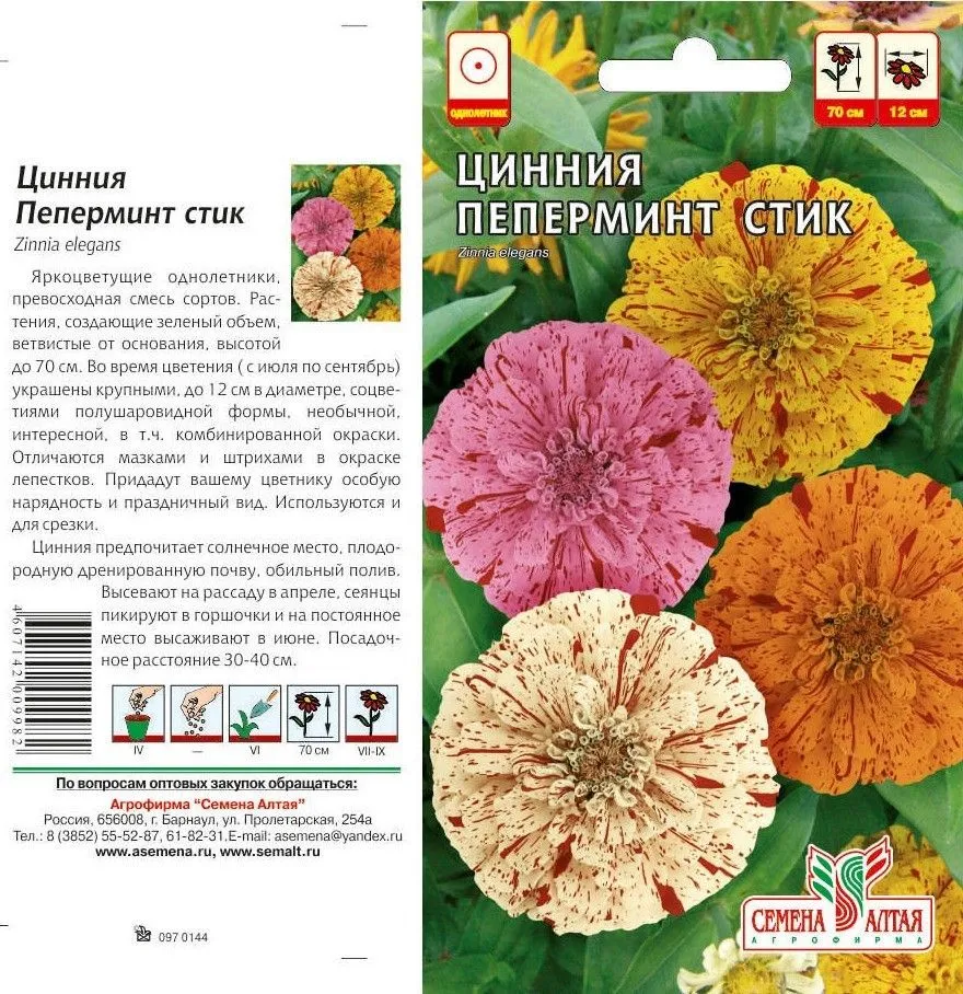 Цинния Пеперминт Стик (цветной пакет) 0,3г; Семена Алтая