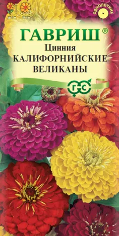 Цинния Калифорнийские великаны, смесь (цветной пакет) 0,3г; Гавриш