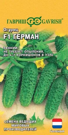 картинка Огурец Герман F1 (цветной пакет) 5шт; Гавриш от магазина Флоранж