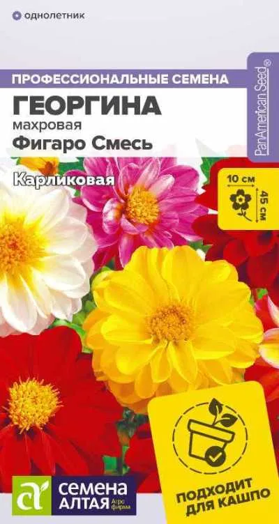 Георгина Фигаро Смесь (цветной пакет) 5шт; Семена Алтая