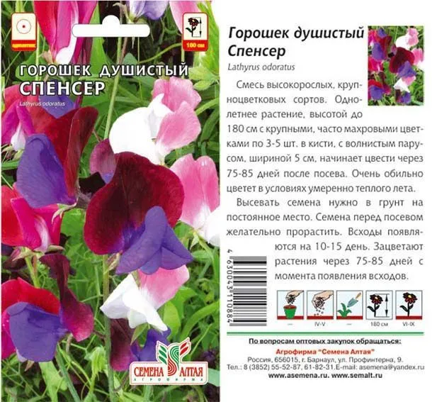 Душистый горошек Спенсер (цветной пакет) 0,5г; Семена Алтая
